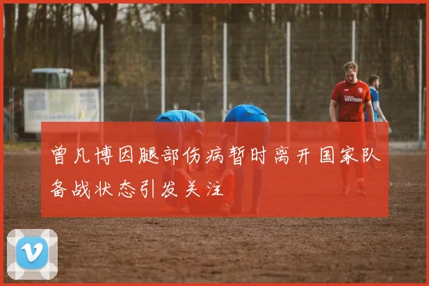 曾凡博因腿部伤病暂时离开国家队备战状态引发关注