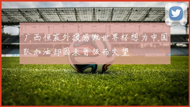 广西恒宸外援感慨世界杯想为中国队加油却因未晋级而失望