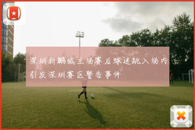 深圳新鹏城主场赛后球迷跳入场内引发深圳赛区警告事件
